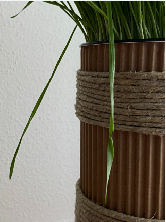 CAT_Vase